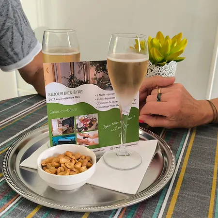 Les Treilles De - Et Sauna Interieur Salies-de-Béarn