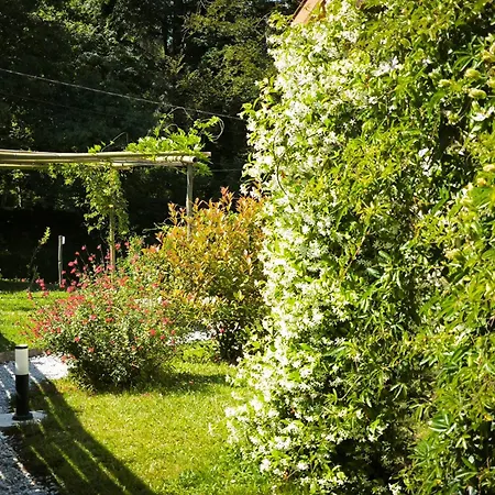 Les Treilles De - Et Sauna Intérieur 3* Salies-de-Béarn